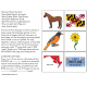 MARYLAND State Symbols ADAPTED BOOK for Special Education and Autism